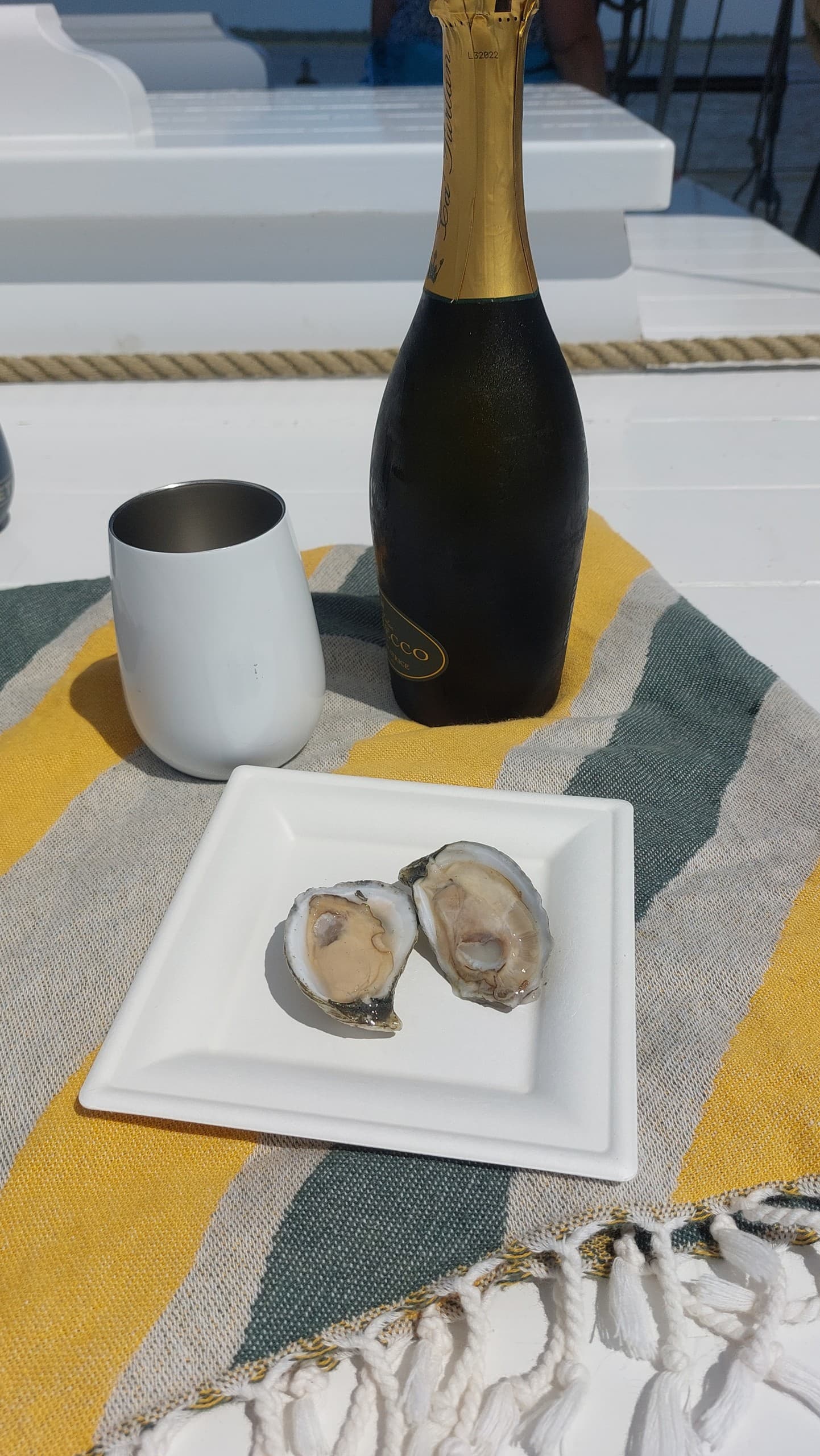 A.J. Meerwald Oyster Sail in Cape May: Fresh Delaware Bay Oysters & Historic Schooner Experience photo 1