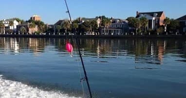 Charleston Dolphin Tours with Little Darlin Fishing Charters