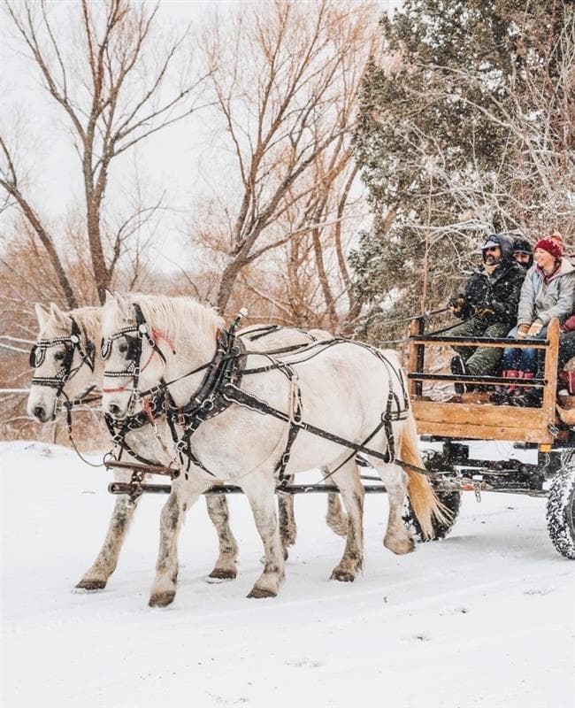 Horse-Drawn Carriage Ride at Sage Lodge in Pray, Montana