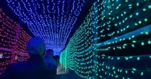 Holiday light tunnel walkway at Griffith Park train event