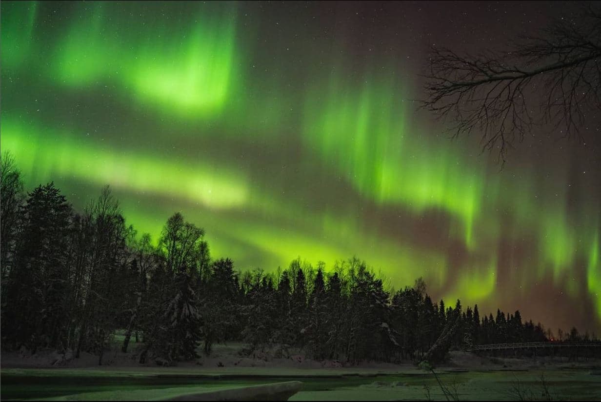 Winter Wildlife & Northern Lights Adventure with Pyha Safaris
