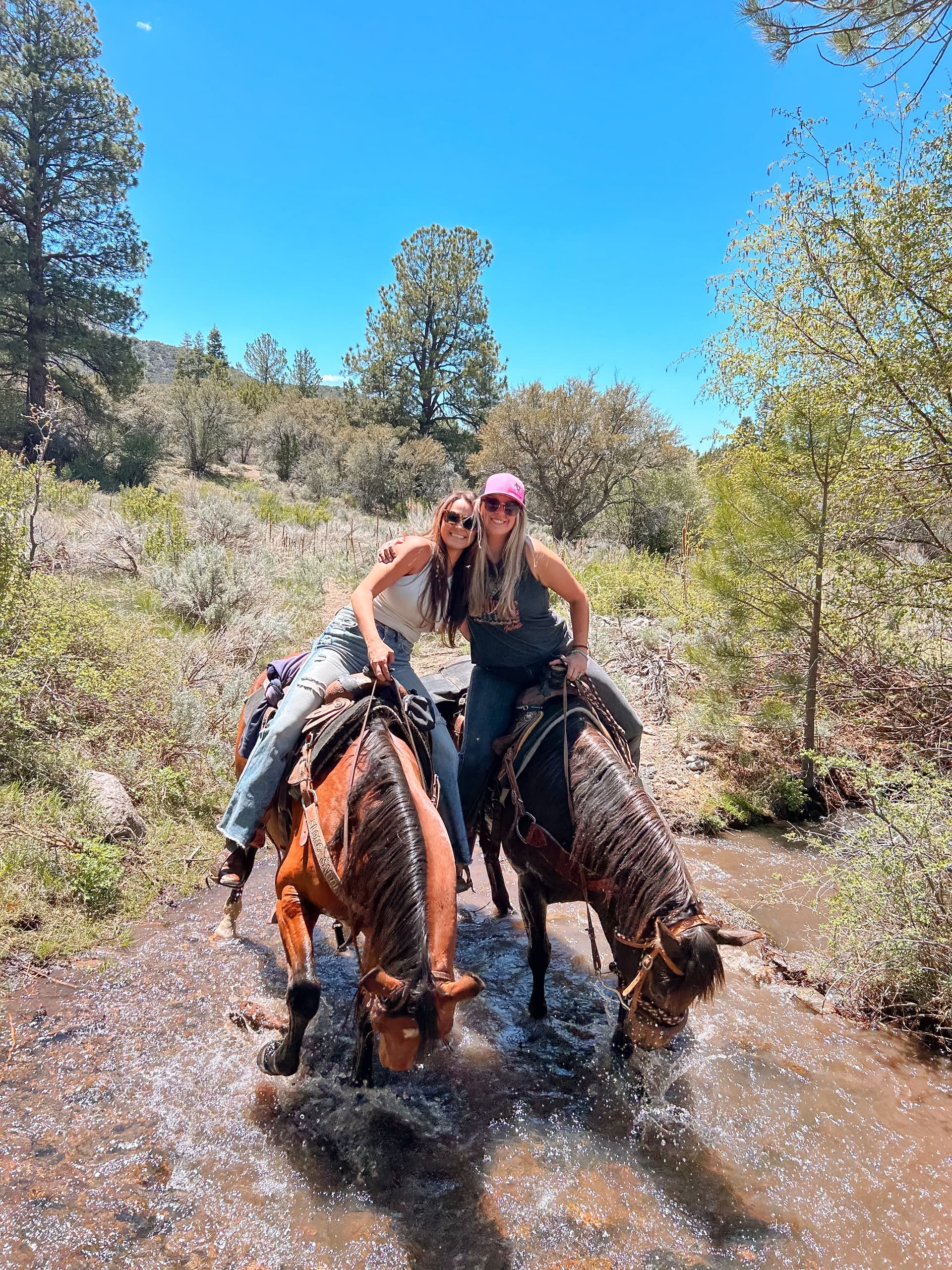 The Wrangler Horseback Adventure in Pine Valley, Utah