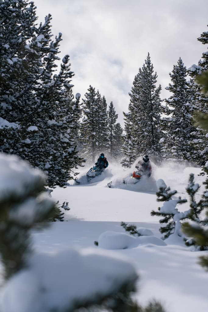 Danbury Northwoods Multiday ProStar S4 Indy XC Snowmobile Rental
