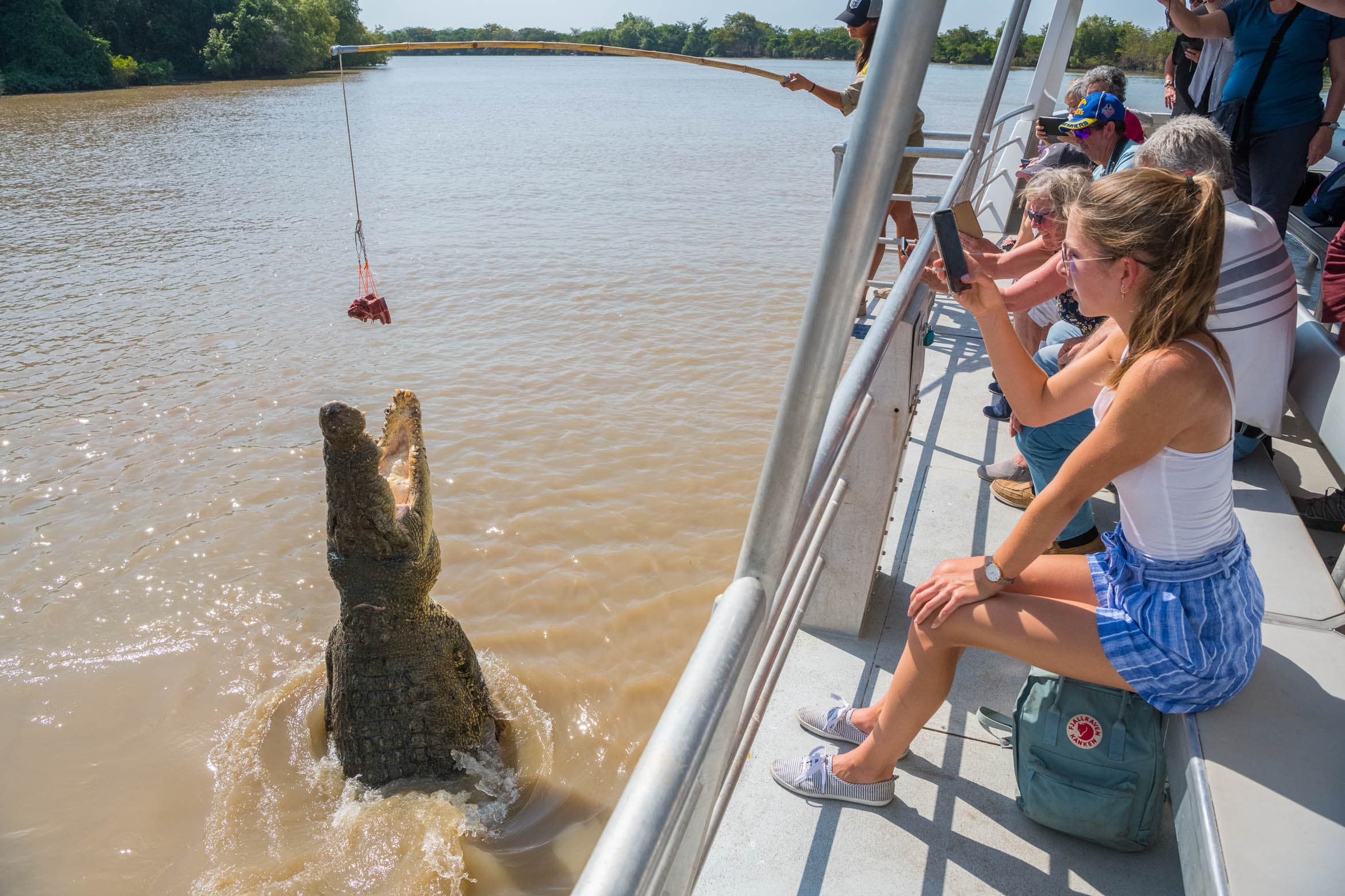 Tourists watching crocodile leap from muddy river on boat tour
