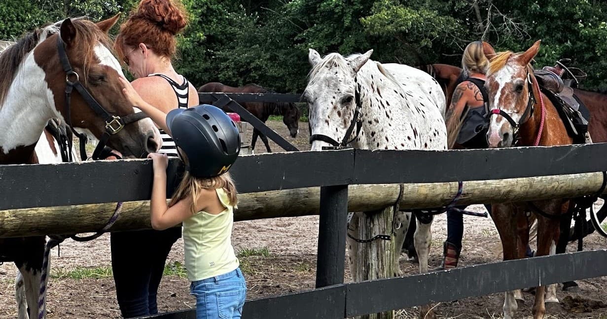 Family-Friendly Pony Rides at Back 40 Barn in Rothbury Michigan