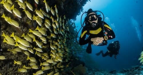 Scuba Diving with Elite Scuba in Ormond Beach