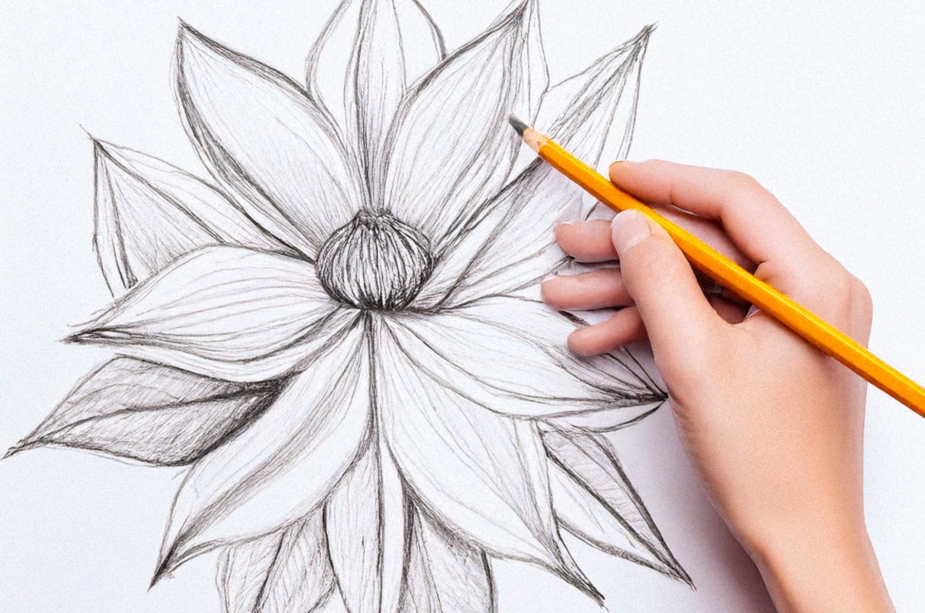 Art Workshop at Conrad Orlando: Creative Drawing Experience