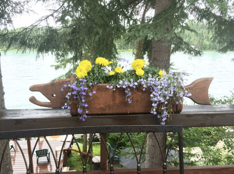 Kenai River Lodge Stays with Beluga Bill’s LLC