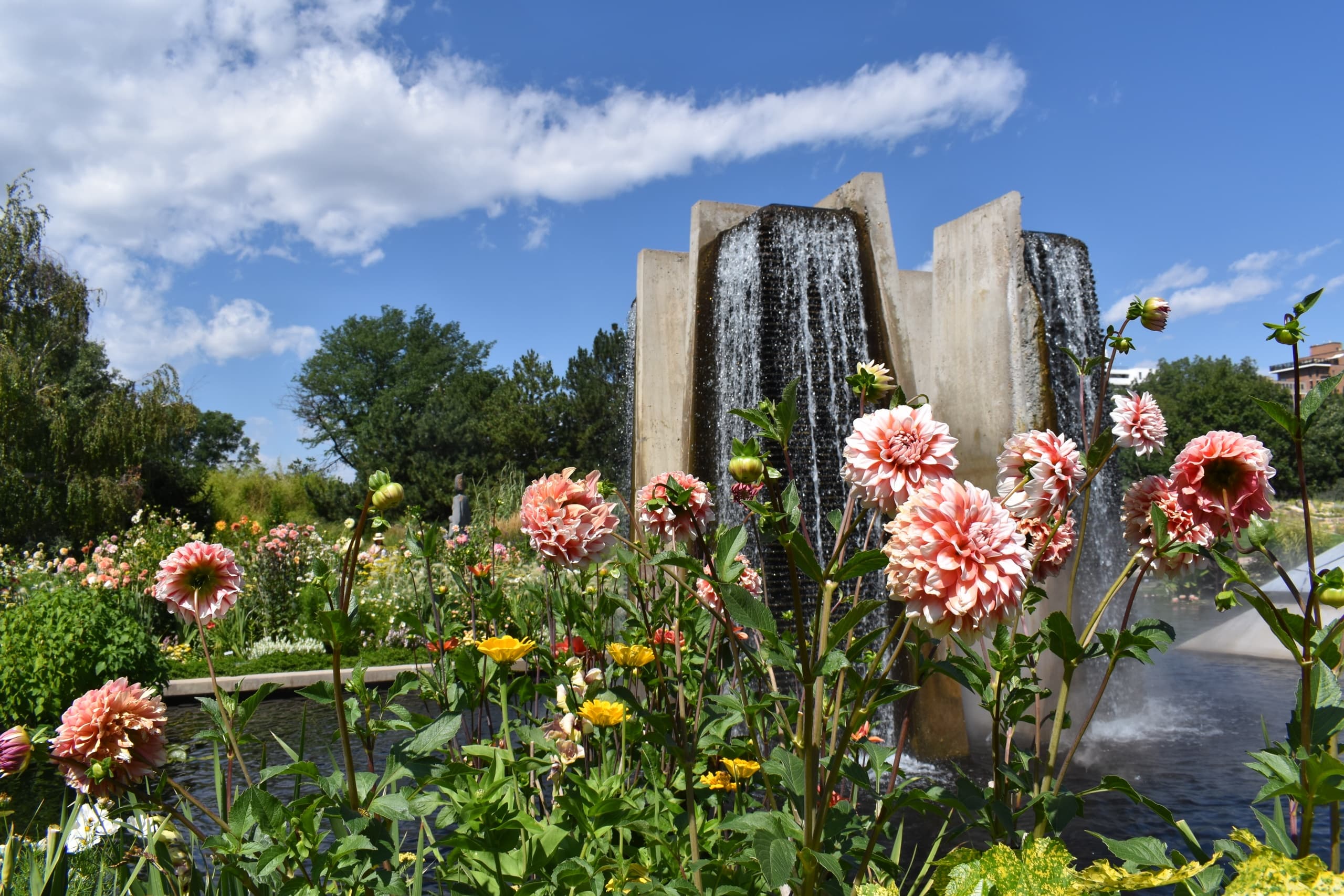 Discover Denver with a Private City Driving Tour