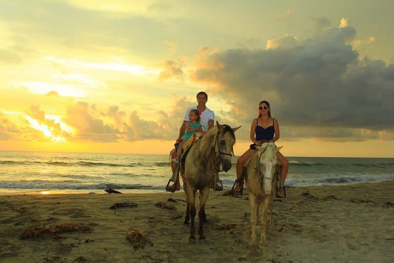 Horseback Riding Experience in Higuera Blanca with Vallarta Best Tours
