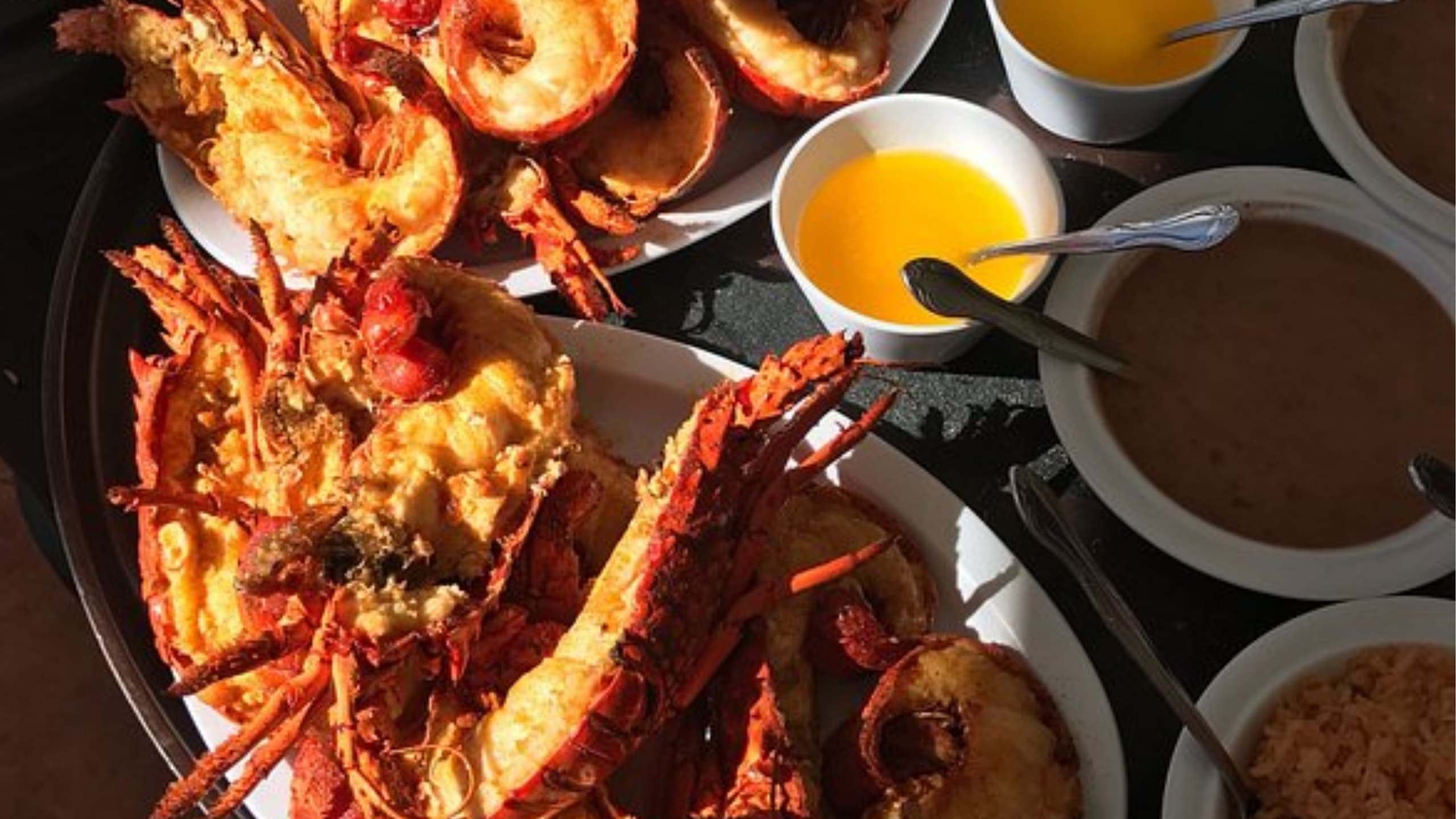 Land Adventures in Baja: Baja Lobster & Art Tour from San Diego