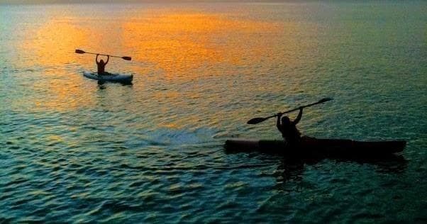 Silhouetted kayakers paddling at sunset on tranquil sea