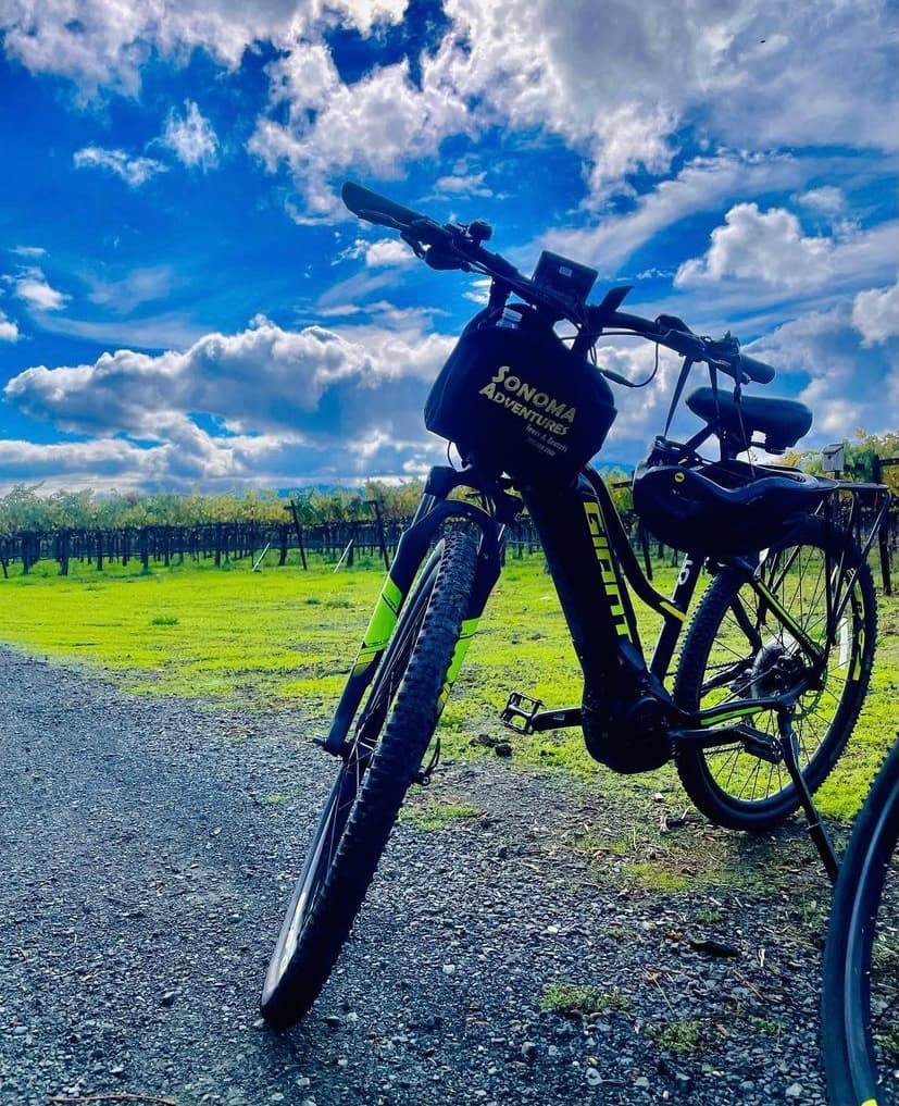 Explore Carneros on a Scenic Sonoma Bike Tour