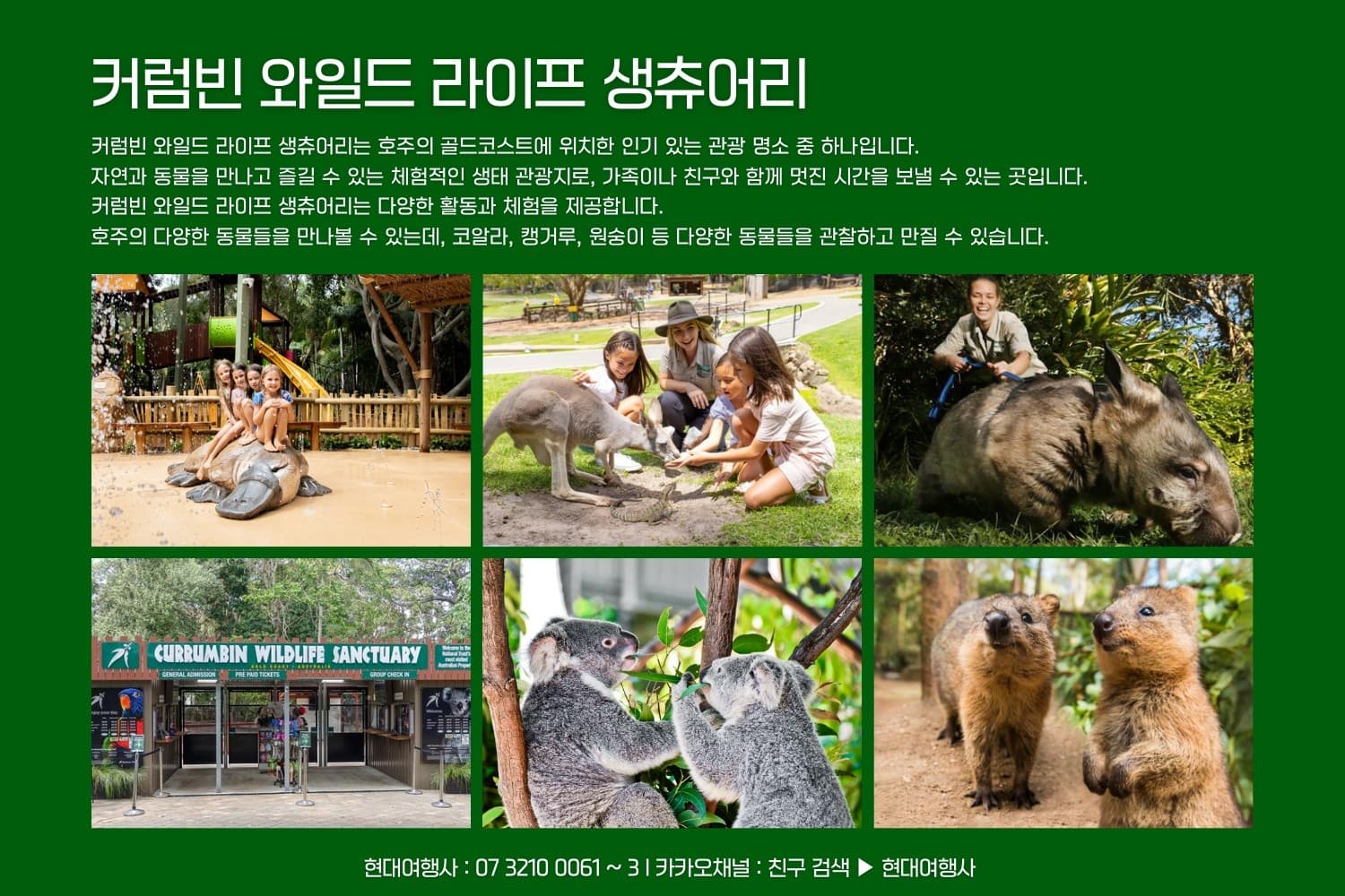 Currumbin Wildlife Sanctuary: Up-Close Encounters Near the Gold Coast