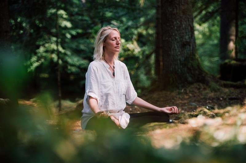 Forest Bathing & Rejuvenation at Omni Bedford Springs