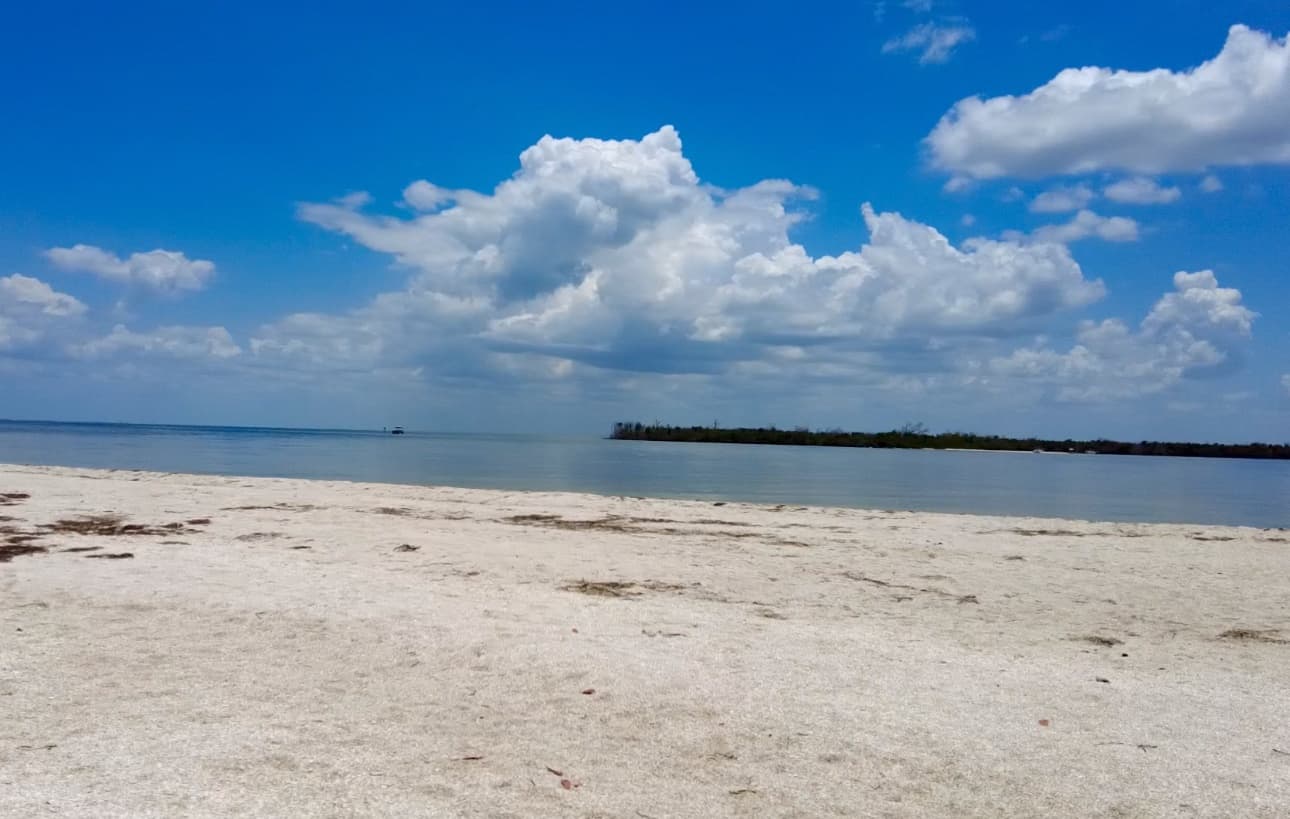 Sandy coastal beach with calm bay waters and blue sky
