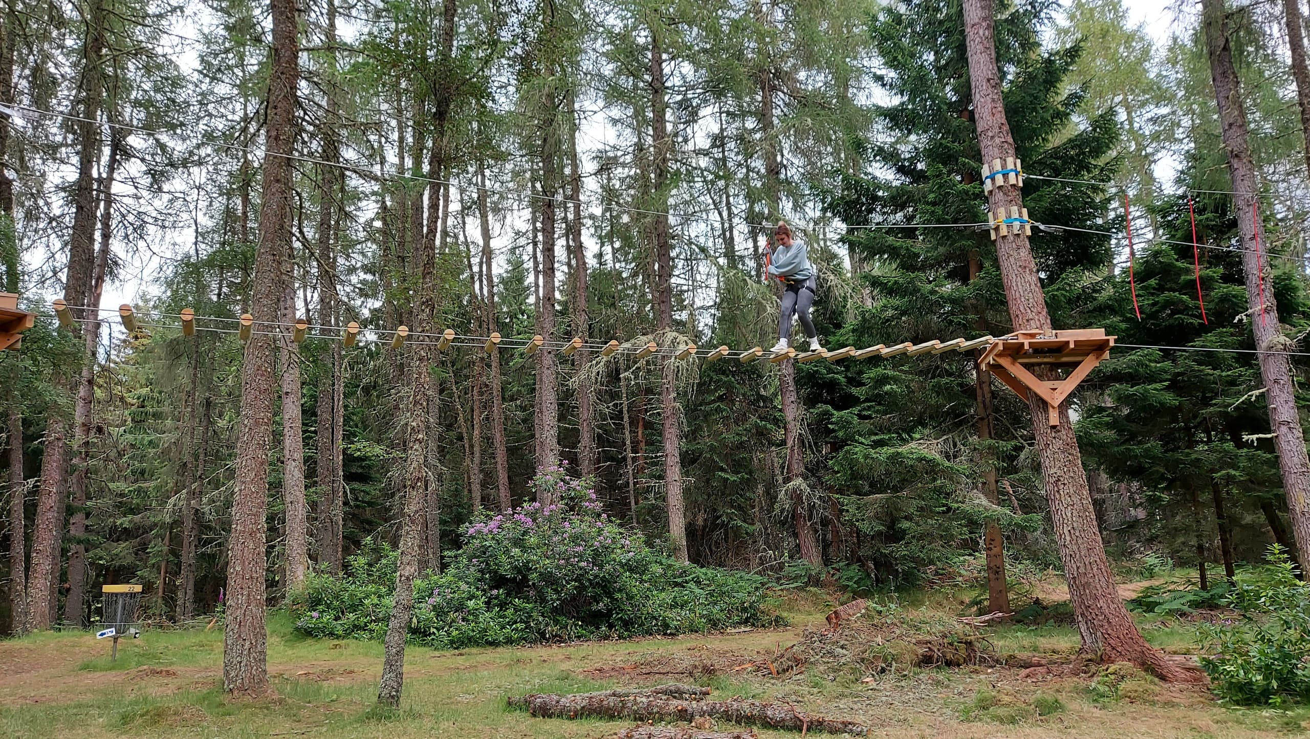 Outdoor Adventure: Woodland High Ropes & Zip Line at ACE Adventure Ltd