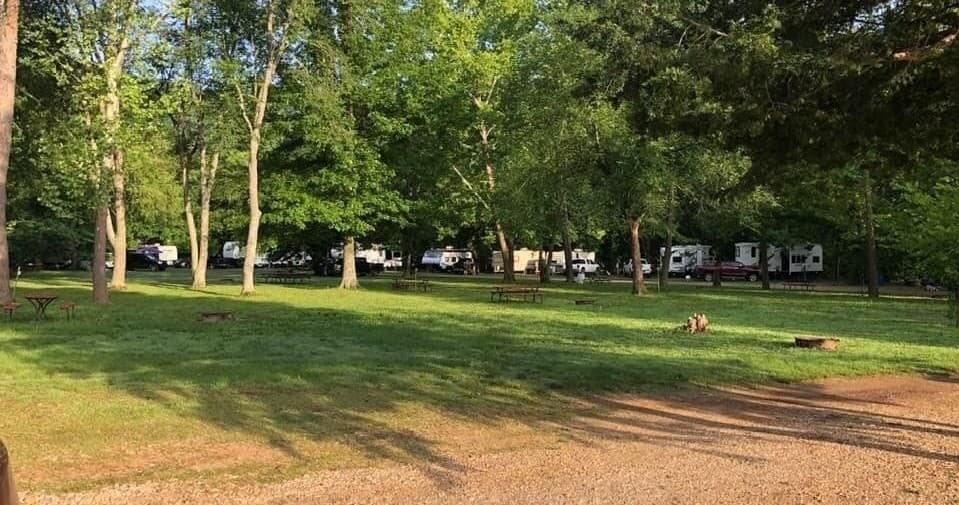 Open wooded campground with RVs and grassy tent sites