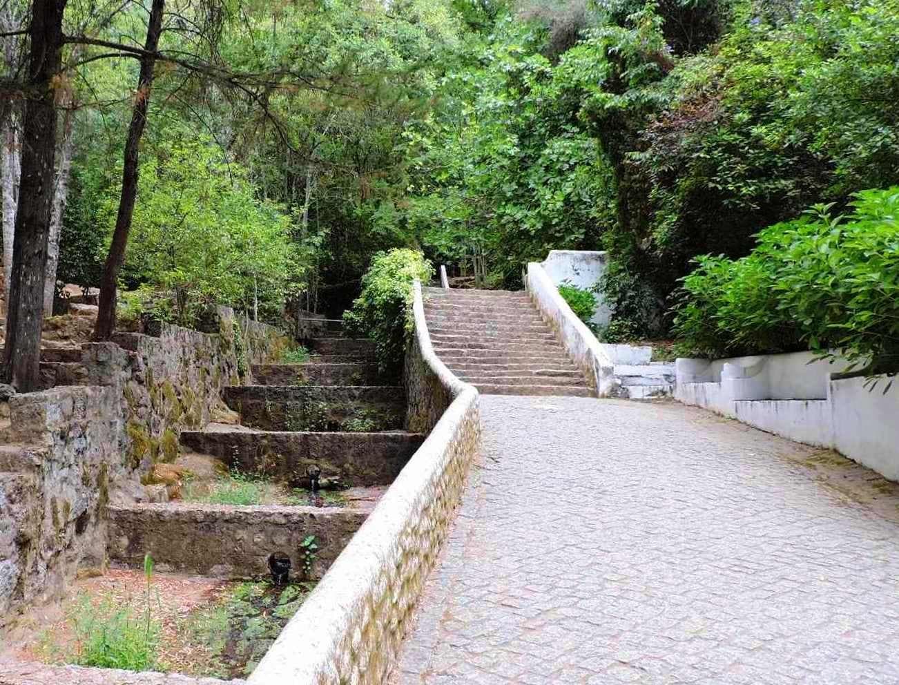 Shaded stone path and steps through forest for hiking walks