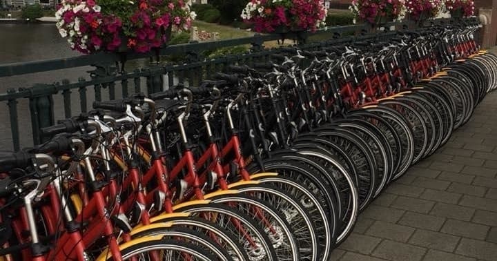 Land Adventures with AmsterBike: City Cycling Experience