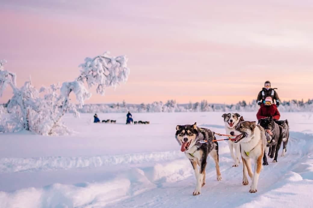 Discover Lapland’s Wilderness with the Lunch Tour at Husky Dreams