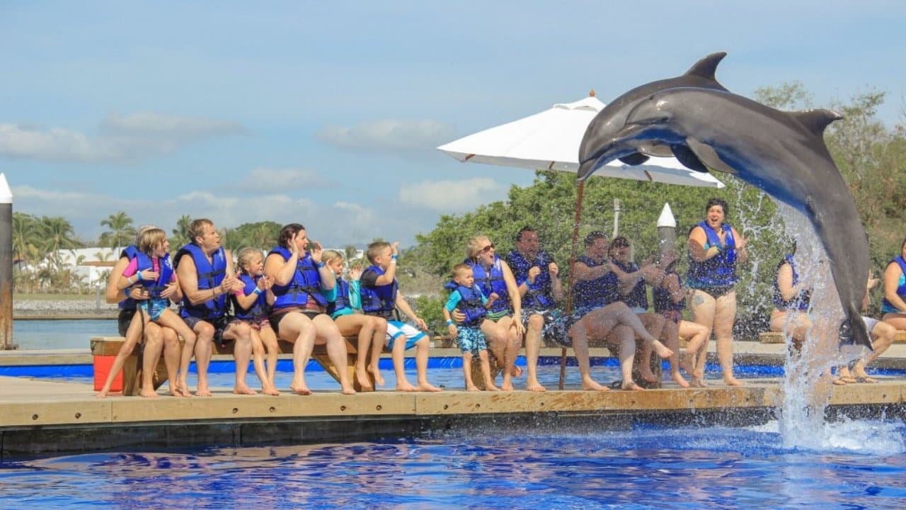 Water Activities & Dolphin Encounter at Lucea/Montego Bay