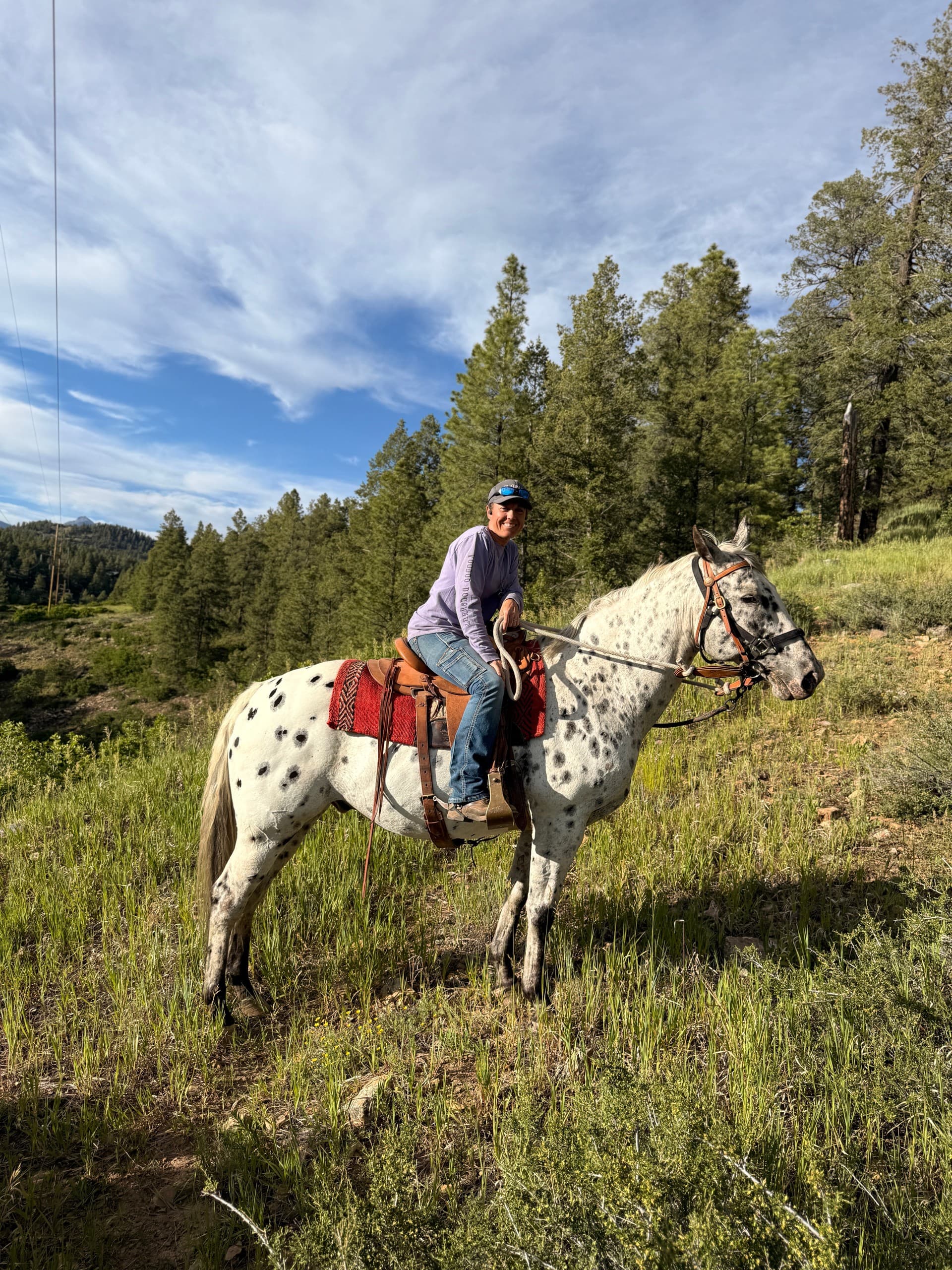 Sunset Horseback Ride in Pagosa Springs: Summer Night Ride at Diamond Hitch Stables