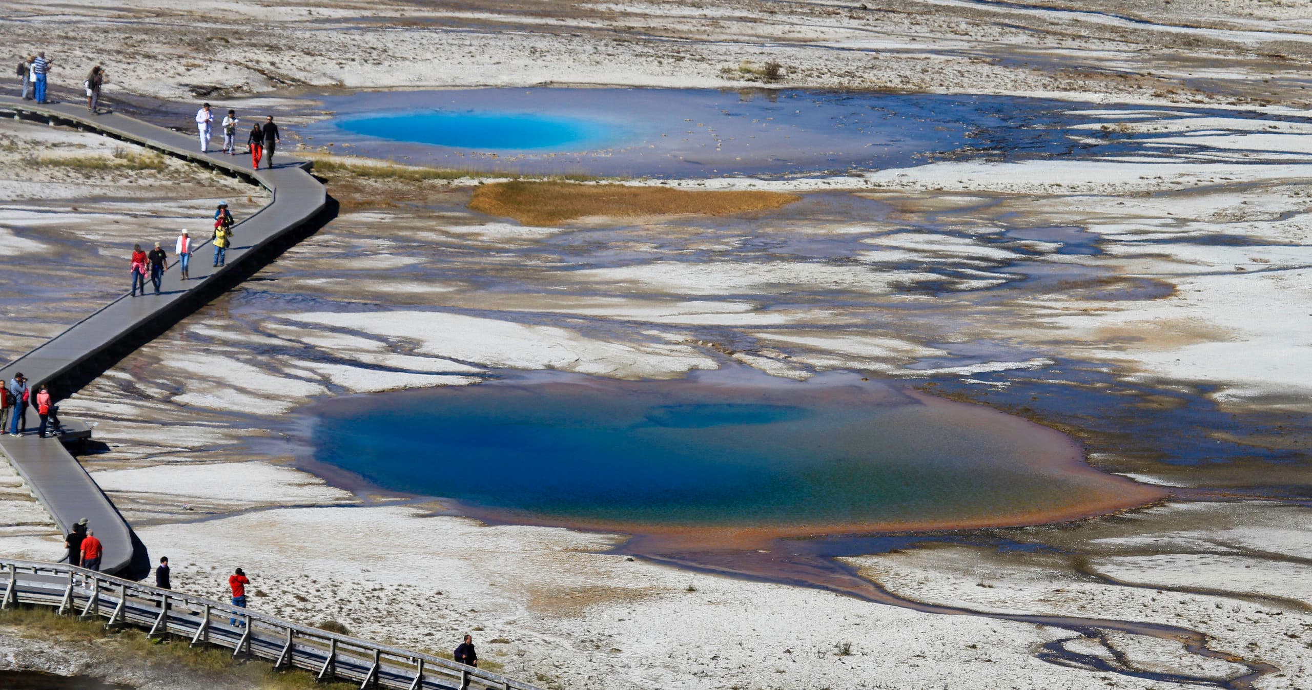 Family Yellowstone Tour by Yellowstone Dreamin Adventures