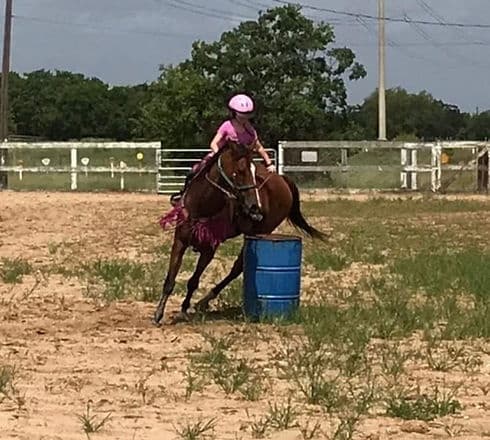 Discover Balance and Connection on Houston’s Ranch Obstacle Experience