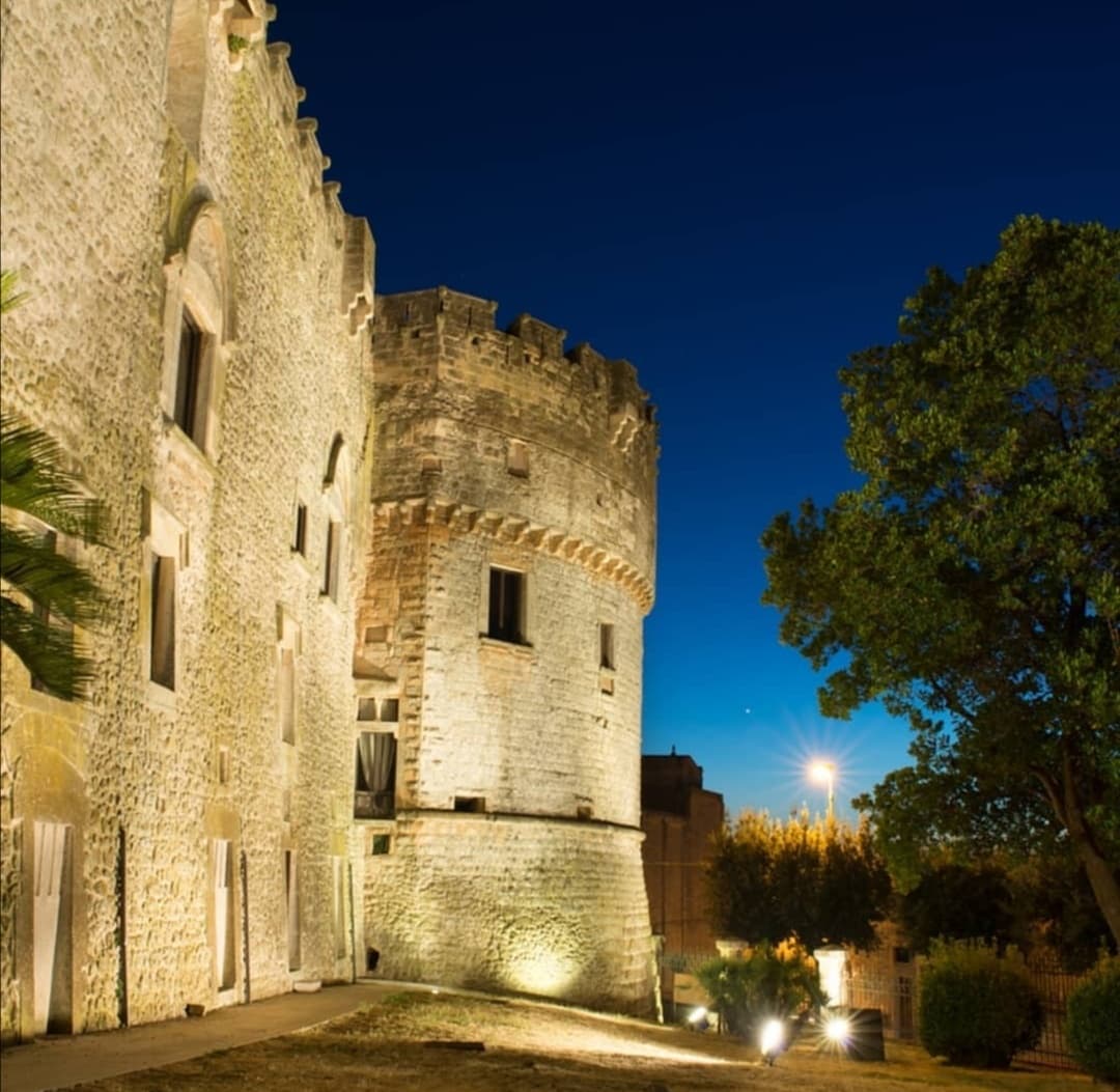 Sapori sotto le stelle: Evening Olive Oil Tasting and Dinner in Carovigno