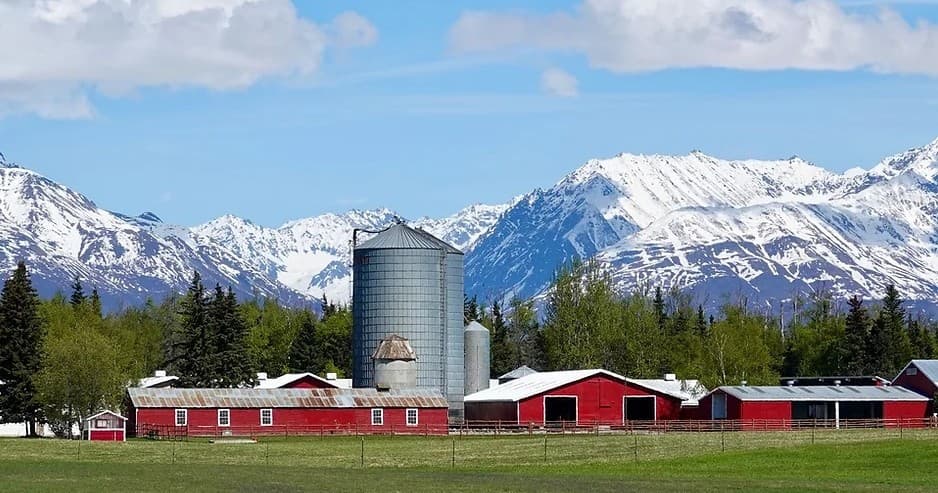 Land Adventures at Hatcher Pass with Blueberry Tours