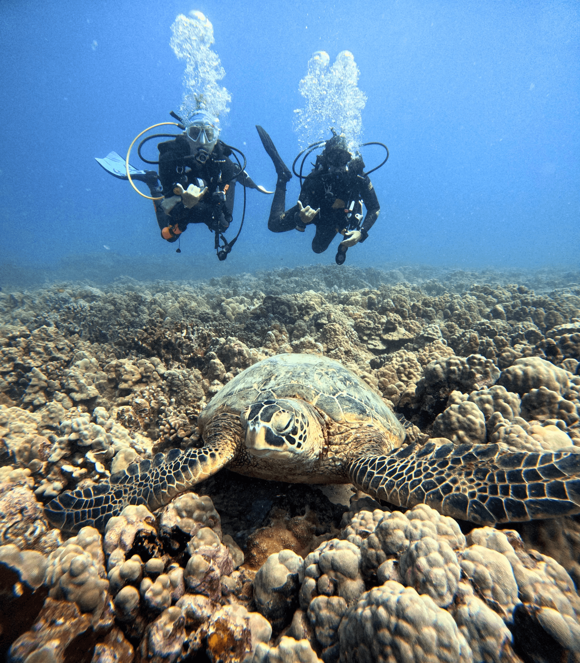Water Activities & Discover Scuba Hawaii: Underwater Adventure