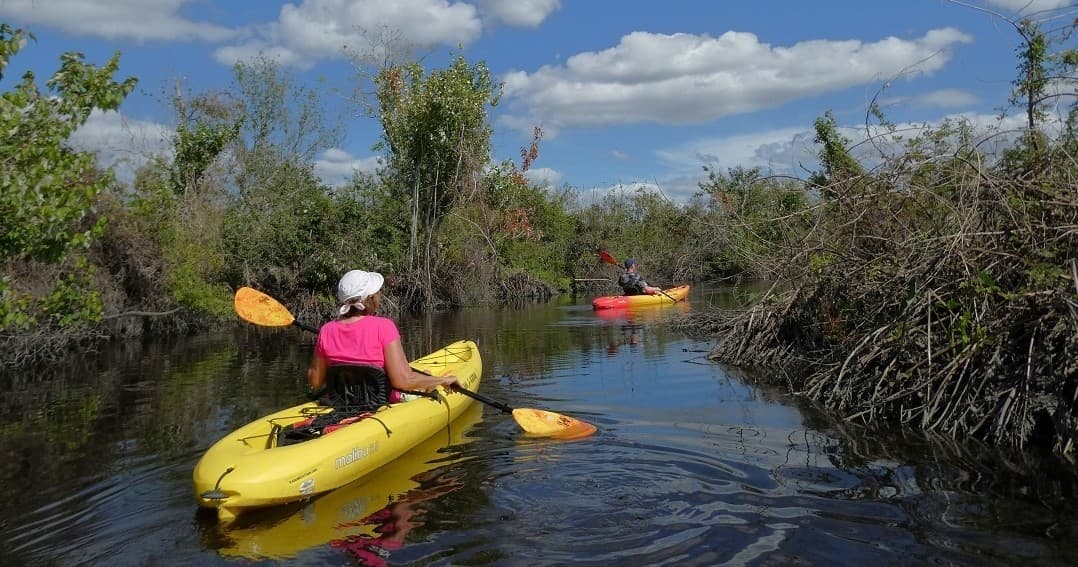 Kayak Swamp Tour with Kayak Eco Tours LLC in Arcadia, Florida
