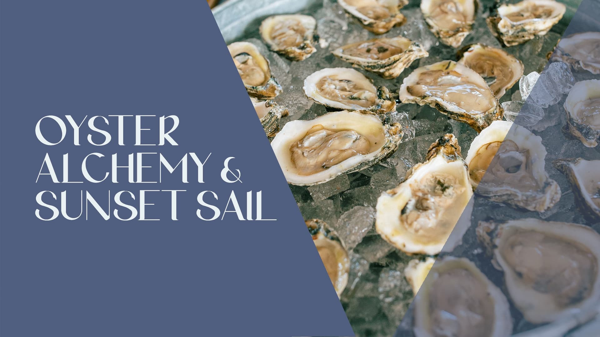 Savor Key West’s Alchemy Oysters & Sunset Sail: A Luxurious Evening on the Water