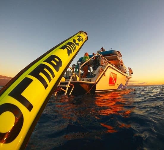 Explore Maui’s Underwater Wonders: The 2 Tank Afternoon Dive Charter Adventure