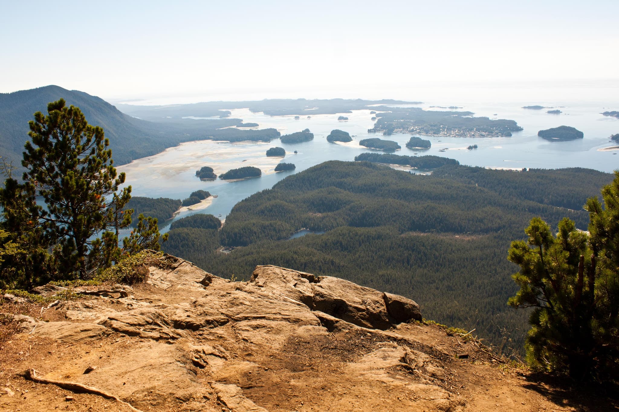 Experience Covered Cruiser Whale Watching: A Tofino Adventure with Ahousaht Nation Guides