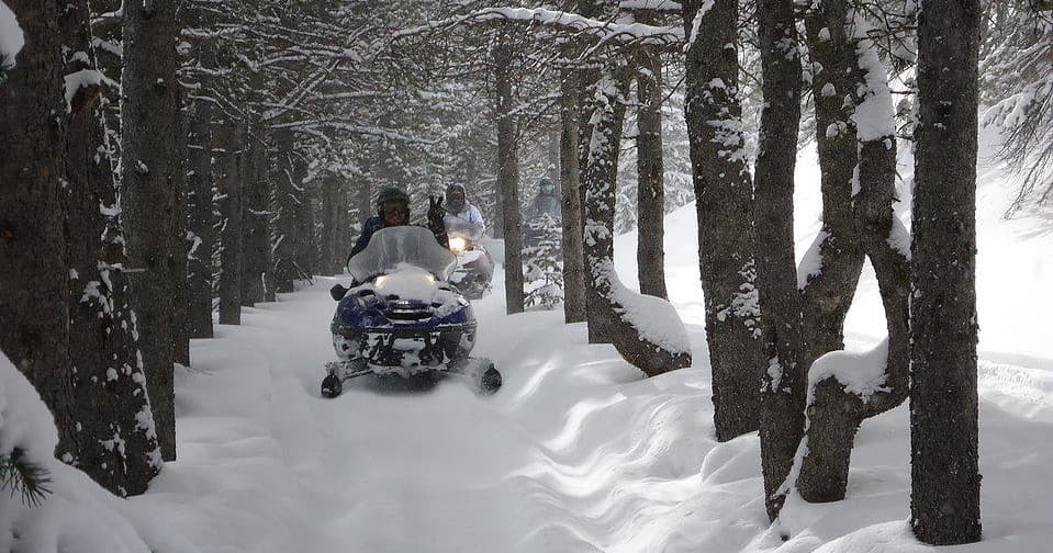 Discover Colorado’s High-Altitude Thrill: The Local’s Favorite Snowmobile Tour from Salida