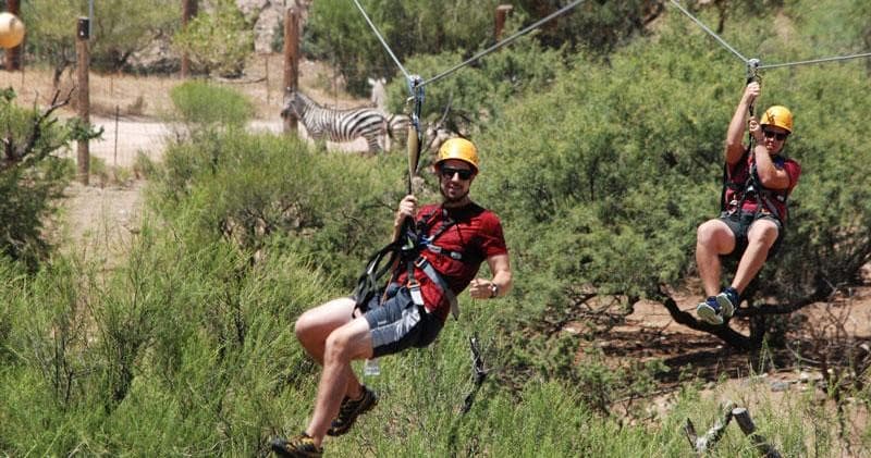 Zip Line Adventure and Wine Tasting in Scottsdale Arizona