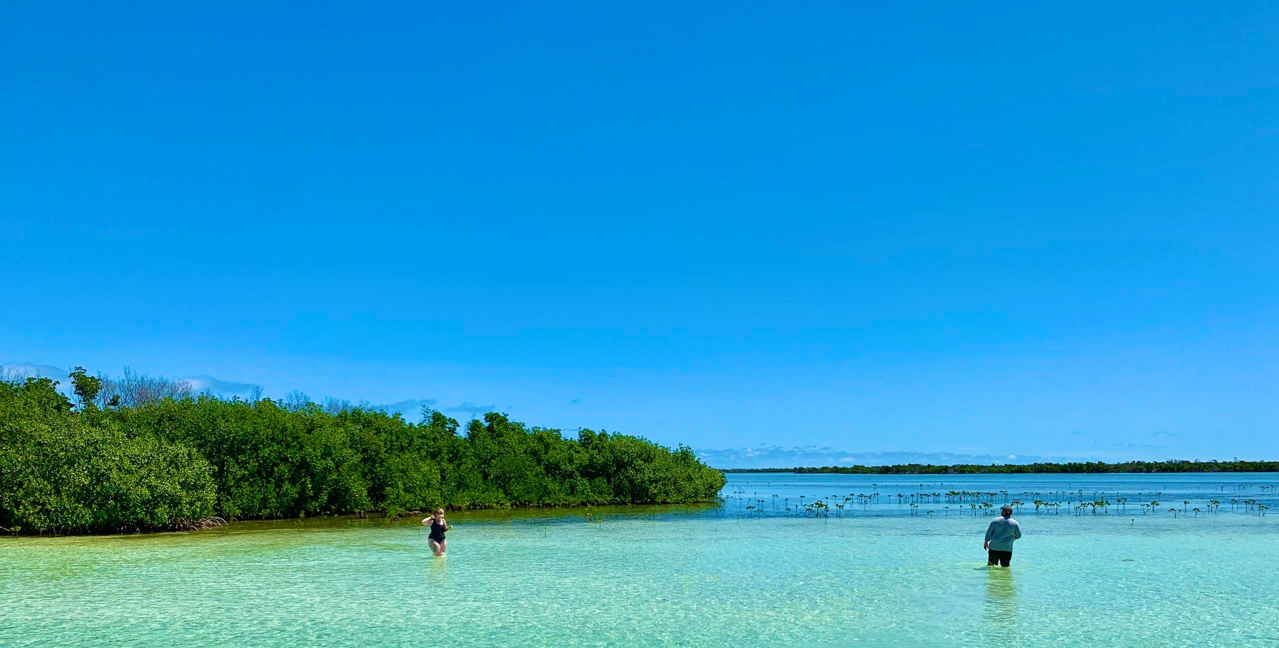 Waders on clear sandbar in shallow tropical lagoon, scenic