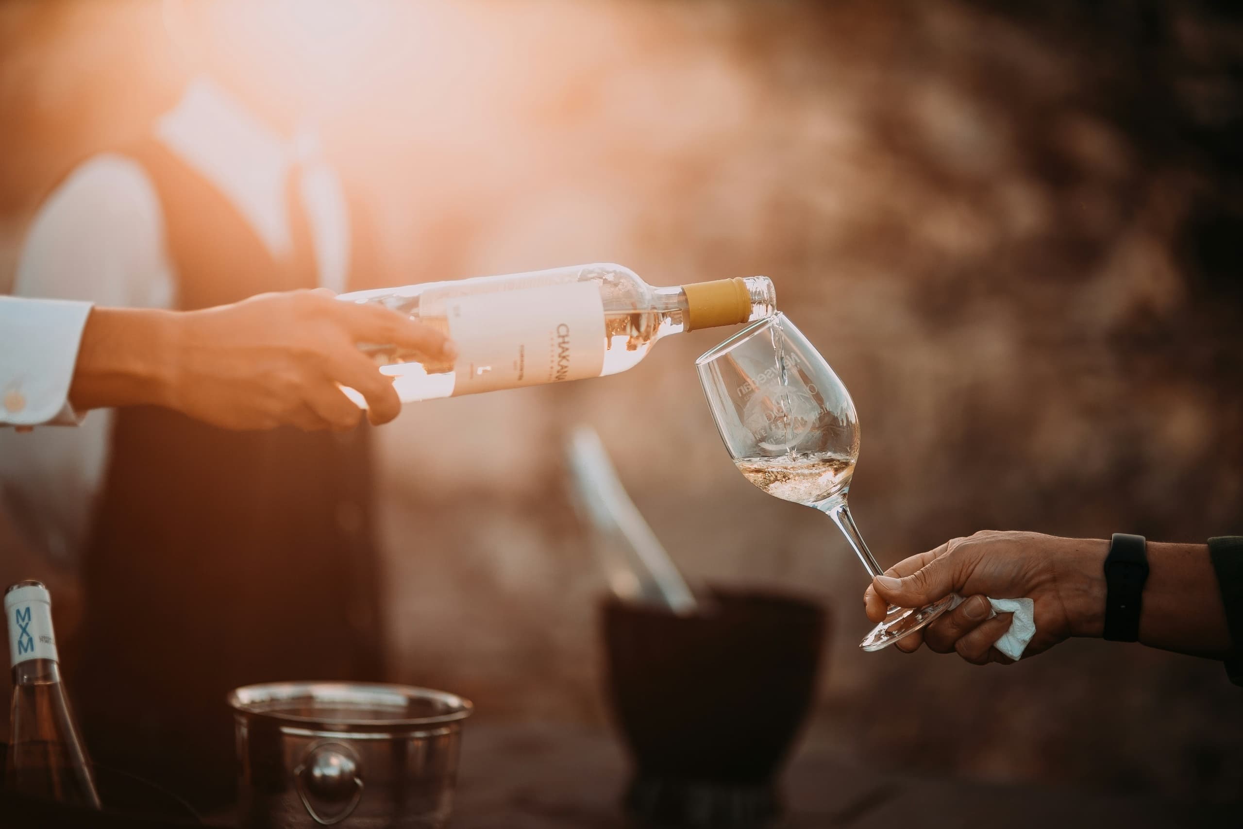 Tour Texas Wine & Beer Country the Fun Way with Austin Nites Party Bus