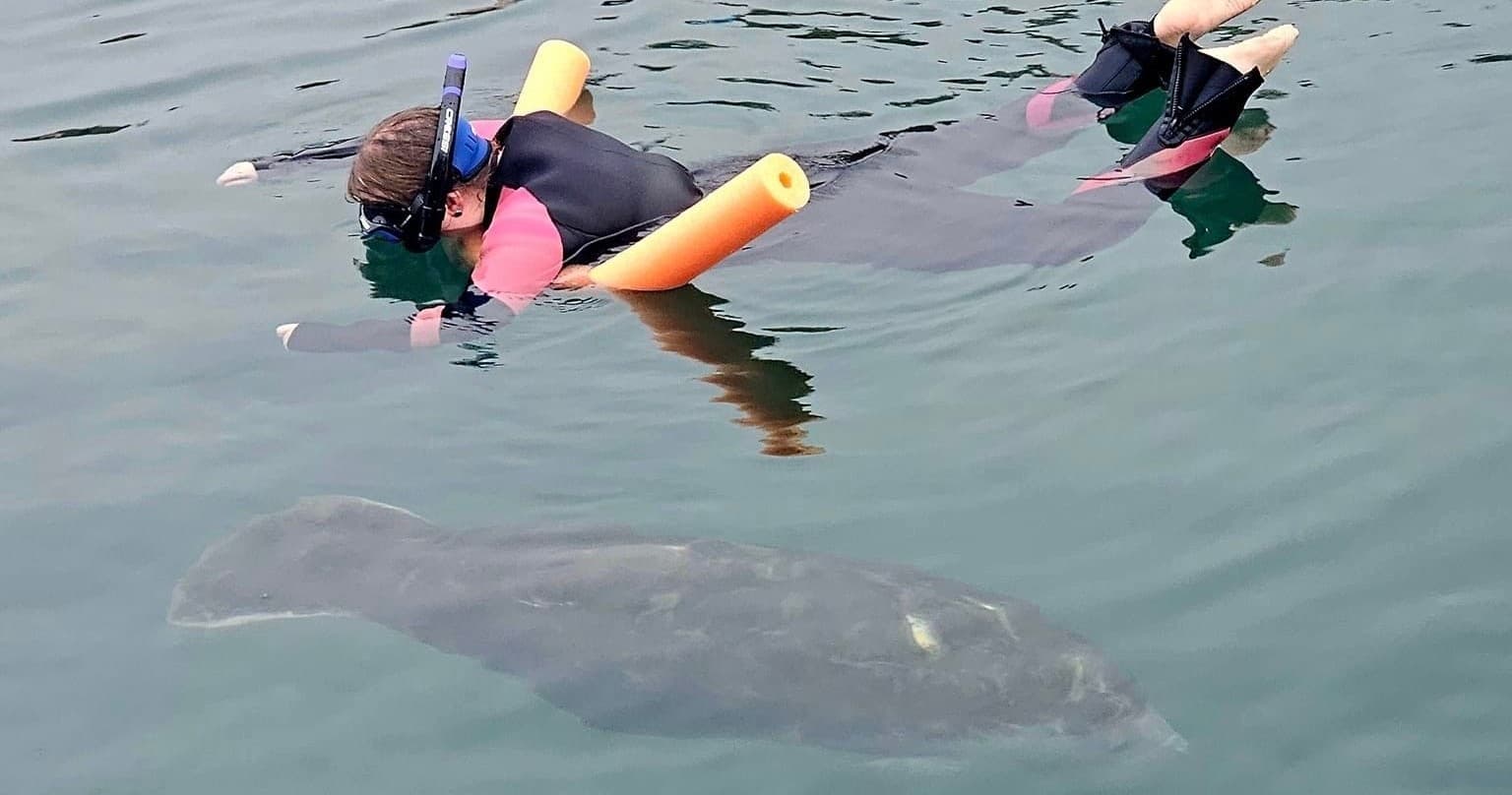 Swim with the Manatees in Crystal River with Freedom Outdoors LLC
