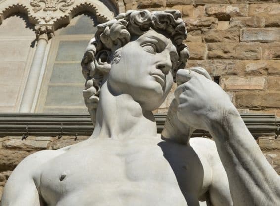 Florence Museum Tour with Skip-The-Line Access at David Gallery