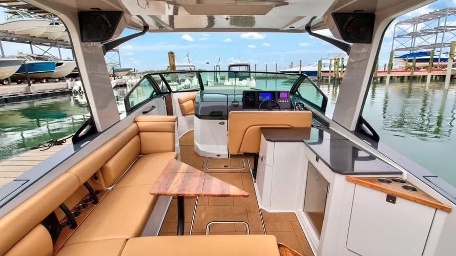 Two-Hour Winter Sarasota Charter on 35-Foot Aviara: Dolphins, Sandbar & Speed photo 2