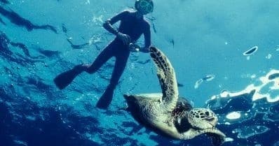 Advanced Snorkeling Tour | Snorkel in Riviera beach, Florida