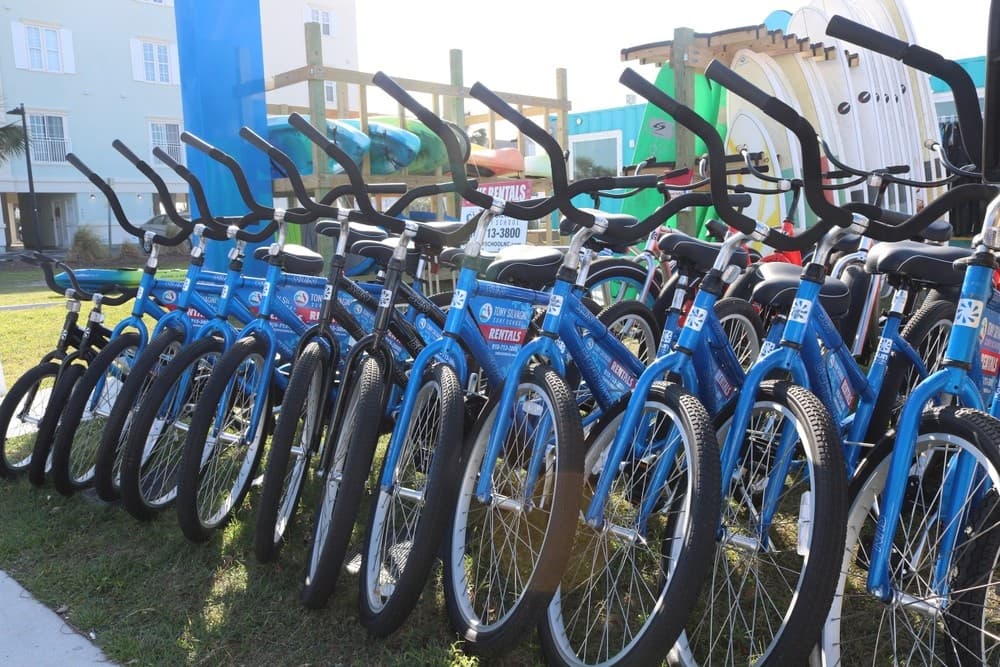 Beach Cruiser Bike Rentals at Tony Silvagni Surf School
