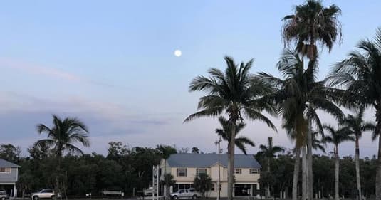 Everglades Guided Bike Tour: Fakahatchee Strand Ride from Everglades City