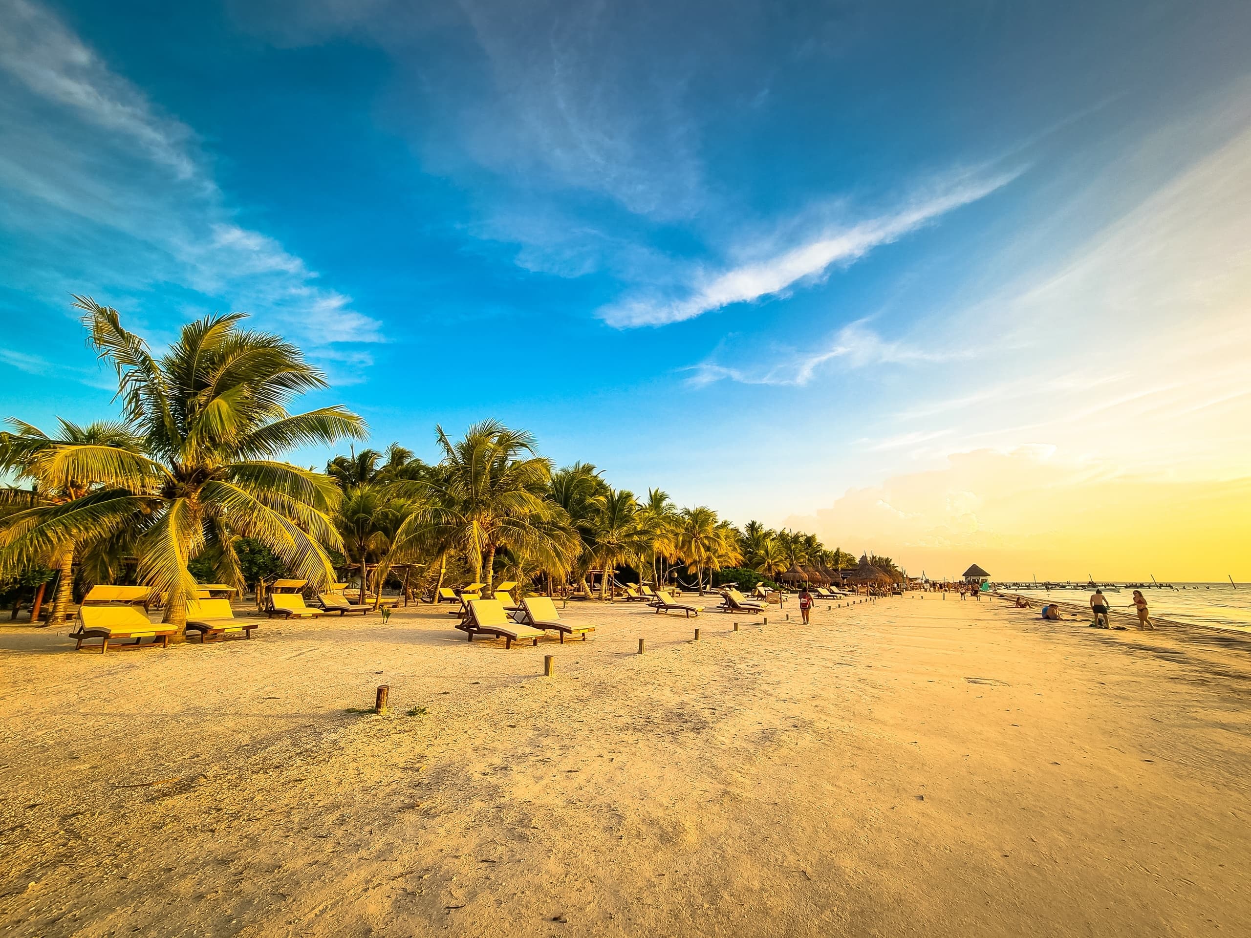 Seamless Land Transit with Holbox Travel in Riviera Maya
