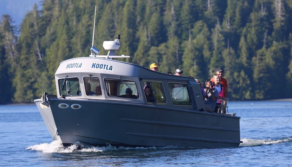 Whale & Bear Watching with The Whale Centre in Tofino