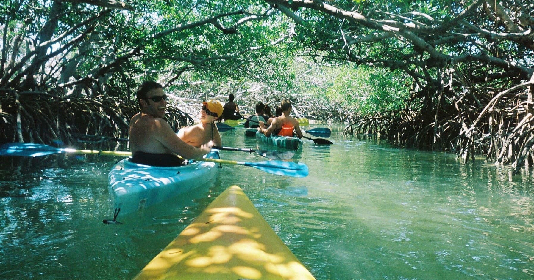 Guided Kayak Tour with Coastal Kayak Adventures in Sarasota