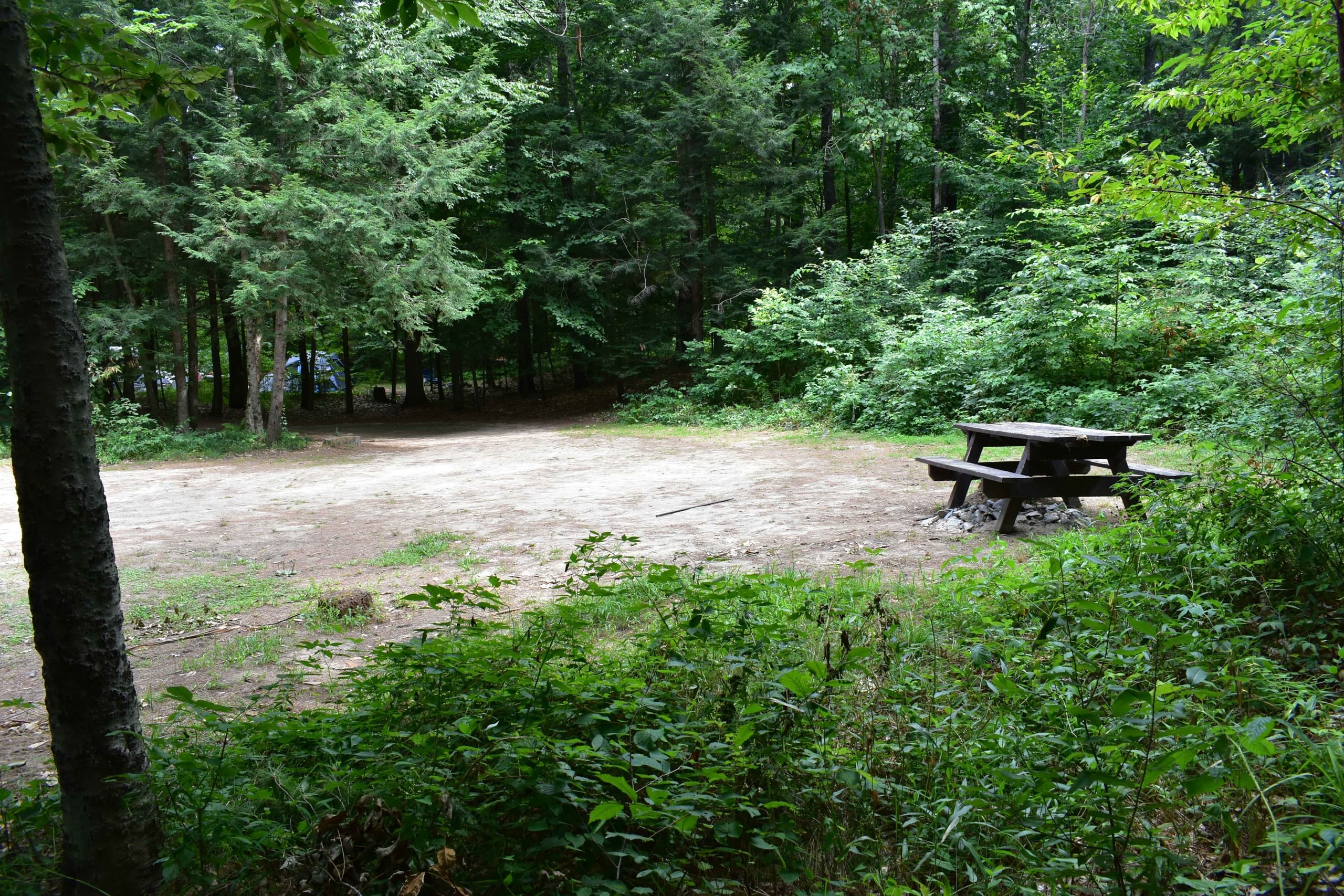 Land Adventure at Canal Bridge Campground with Campsite 29